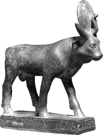 Apis silver bull named Bouz